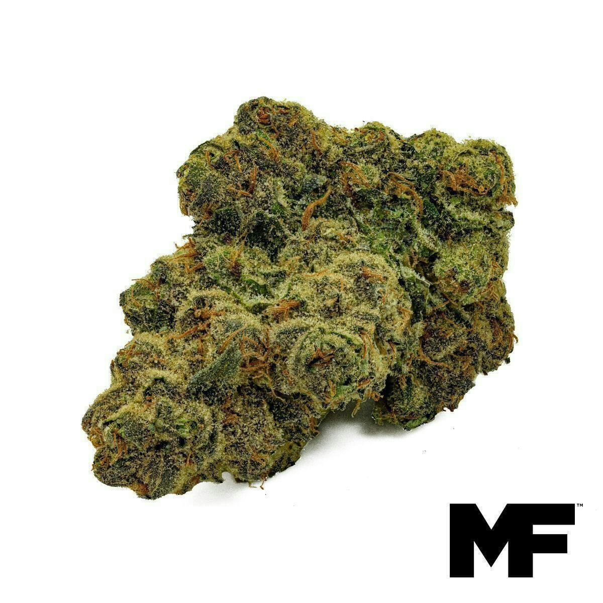 Modern Flower - Modern Flower | MTN Trop | Big Buds | 3.5g - 1