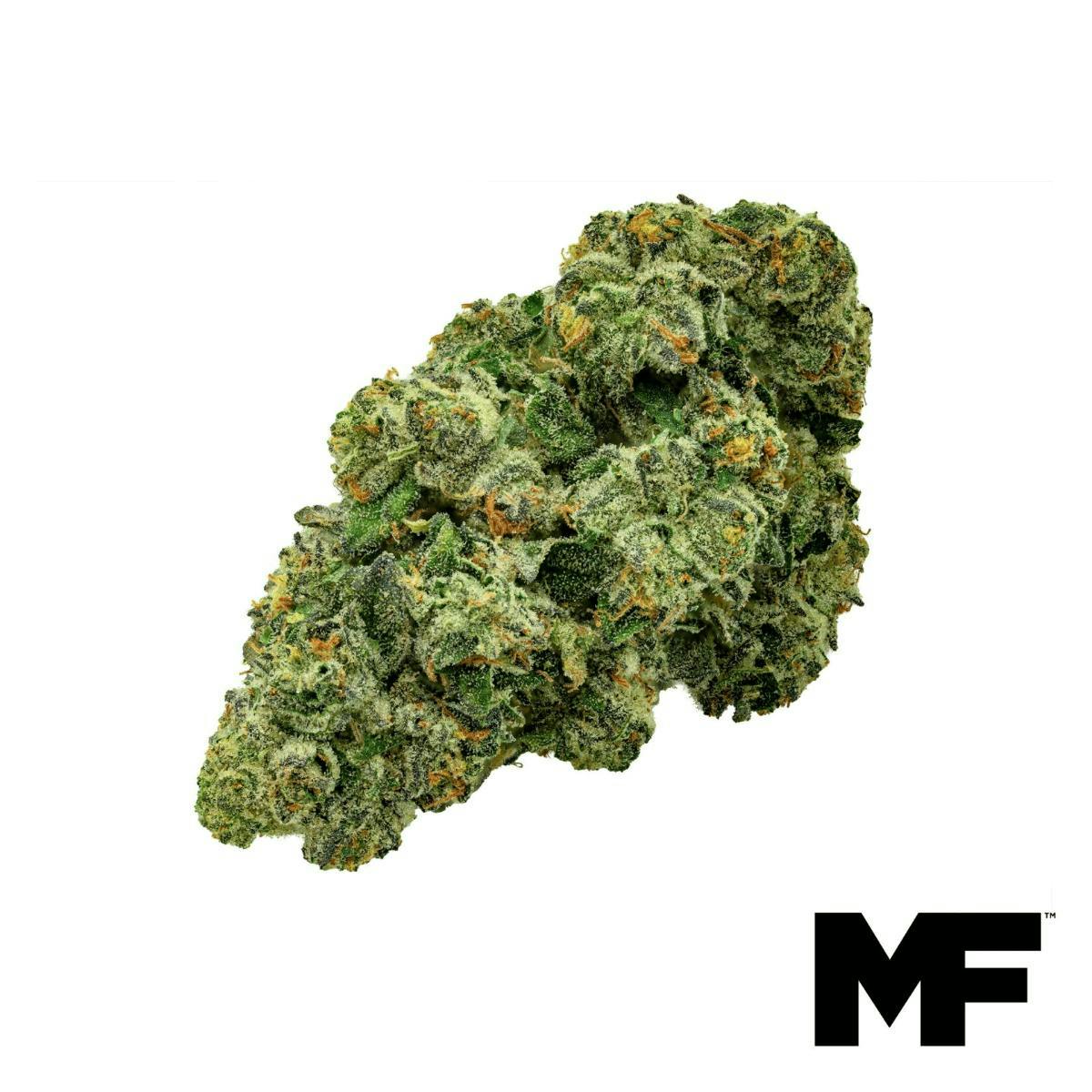 Modern Flower - Modern Flower | Grape Gasoline | Big Buds | 3.5g - 1