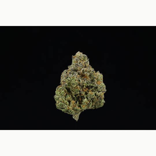 UpNorth - Florida Oranges - 3.5g - 1