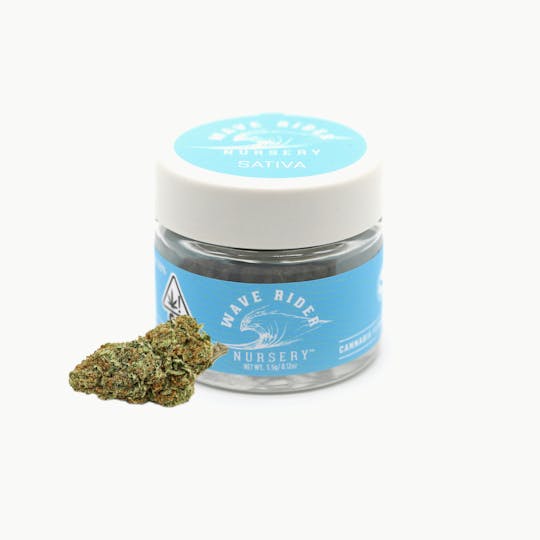 Wave Rider Nursery - Bay Breeze CBD 3.5G - 1