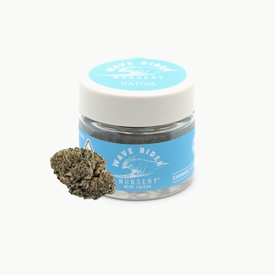 Wave Rider Nursery - Mango Dream 3.5G - 1