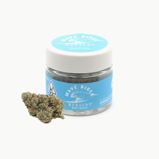Wave Rider Nursery - Fruit Punch 3.5G - 1