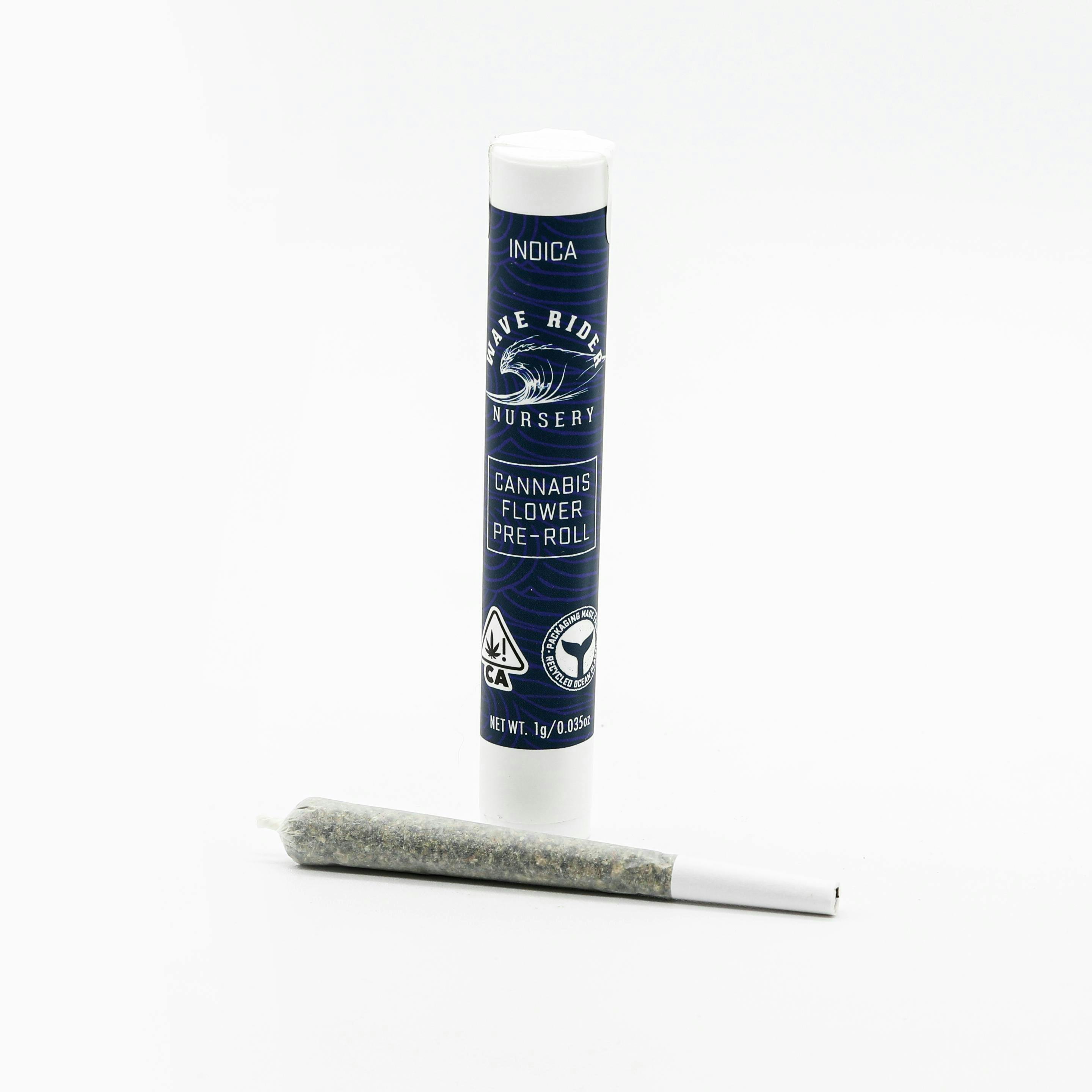 Wave Rider - Blueberry Pancakes | Joint | 1g - 1