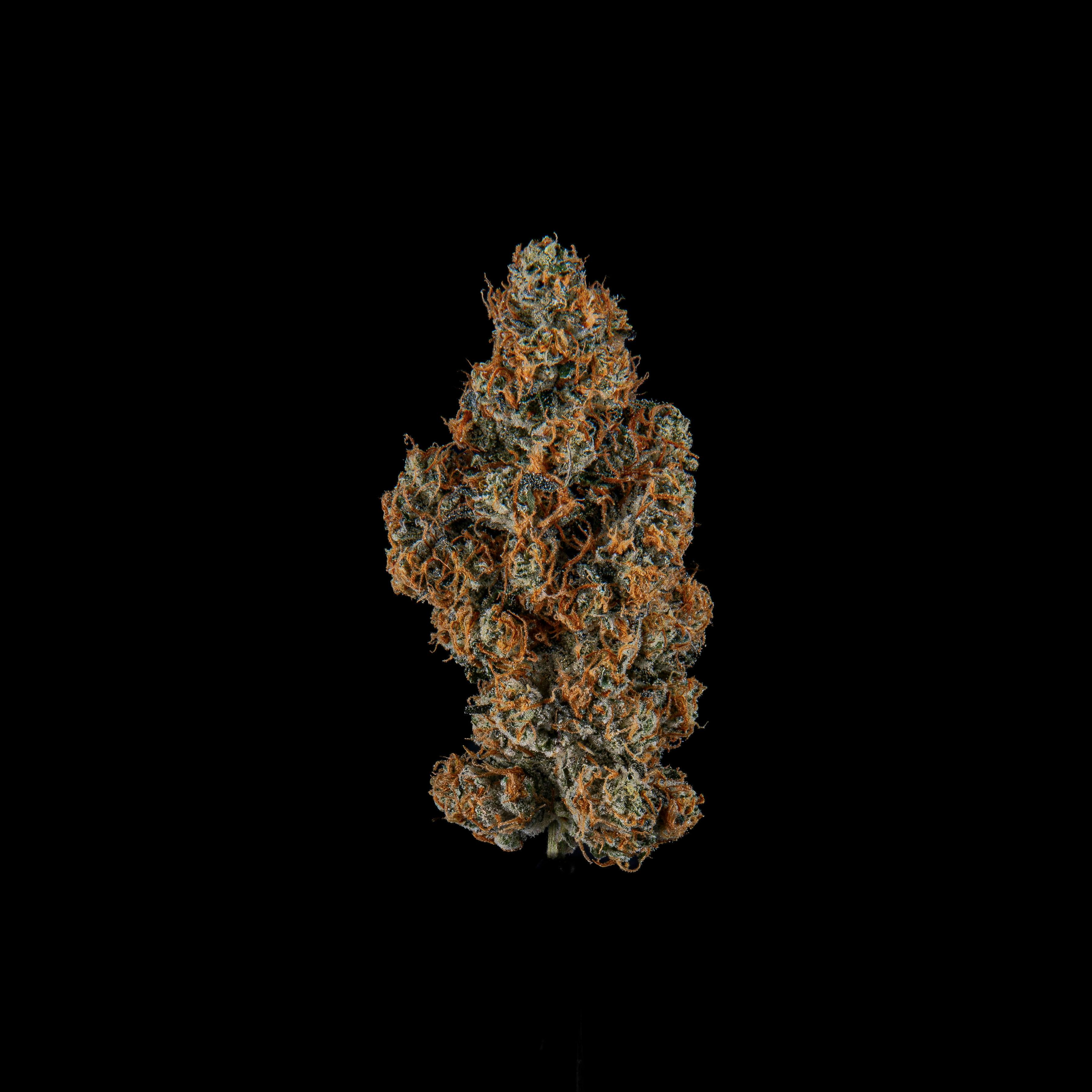 Zenoa - Monte Cristo - 1