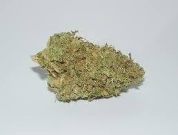 Cannafeen - Cannafeen | High Noon | Big Buds - 1