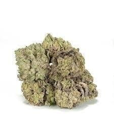 Cannafeen - Cannafeen | Purple Octane | Big Buds - 1