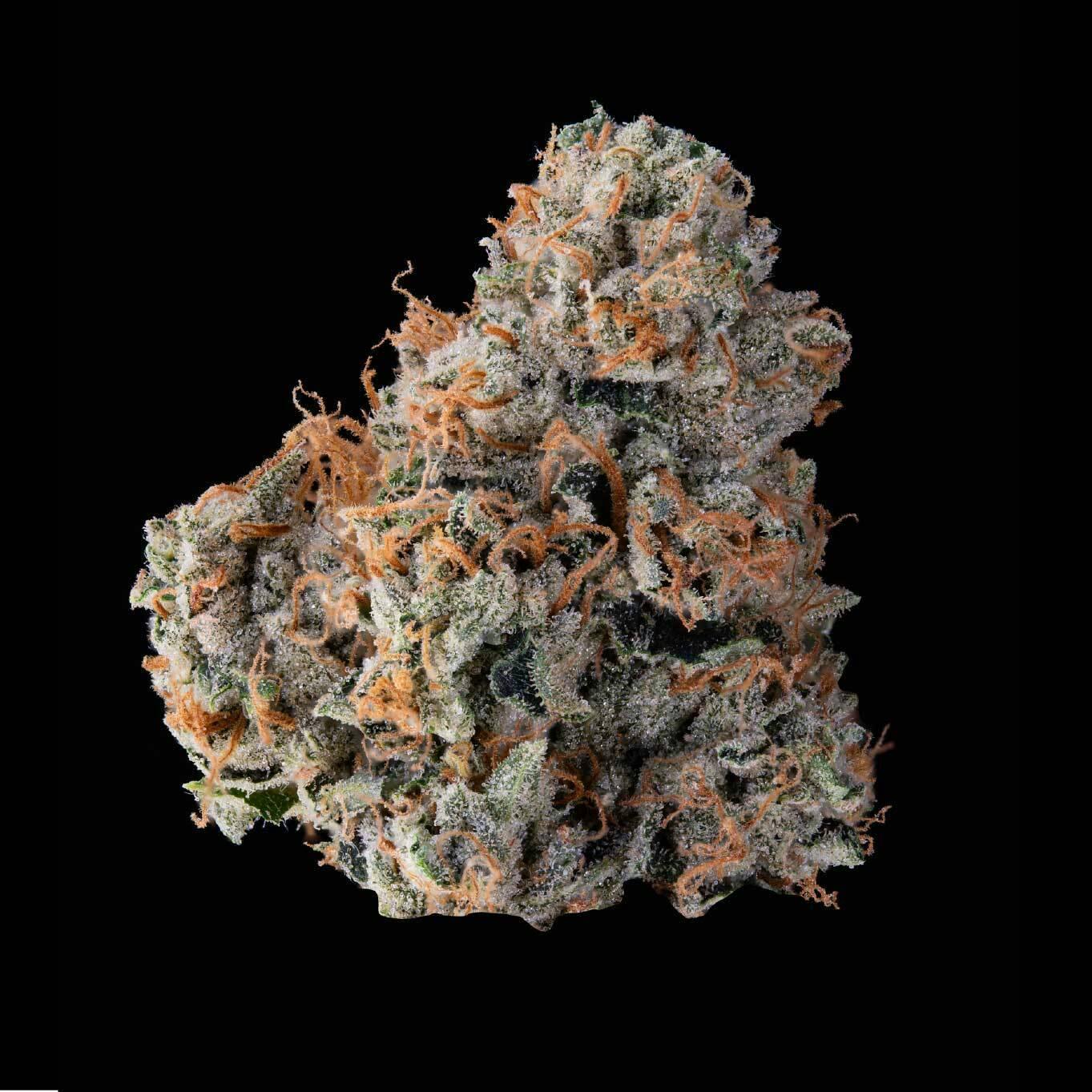 Klutch Cannabis - Catfish - Flower 2.83g - 1