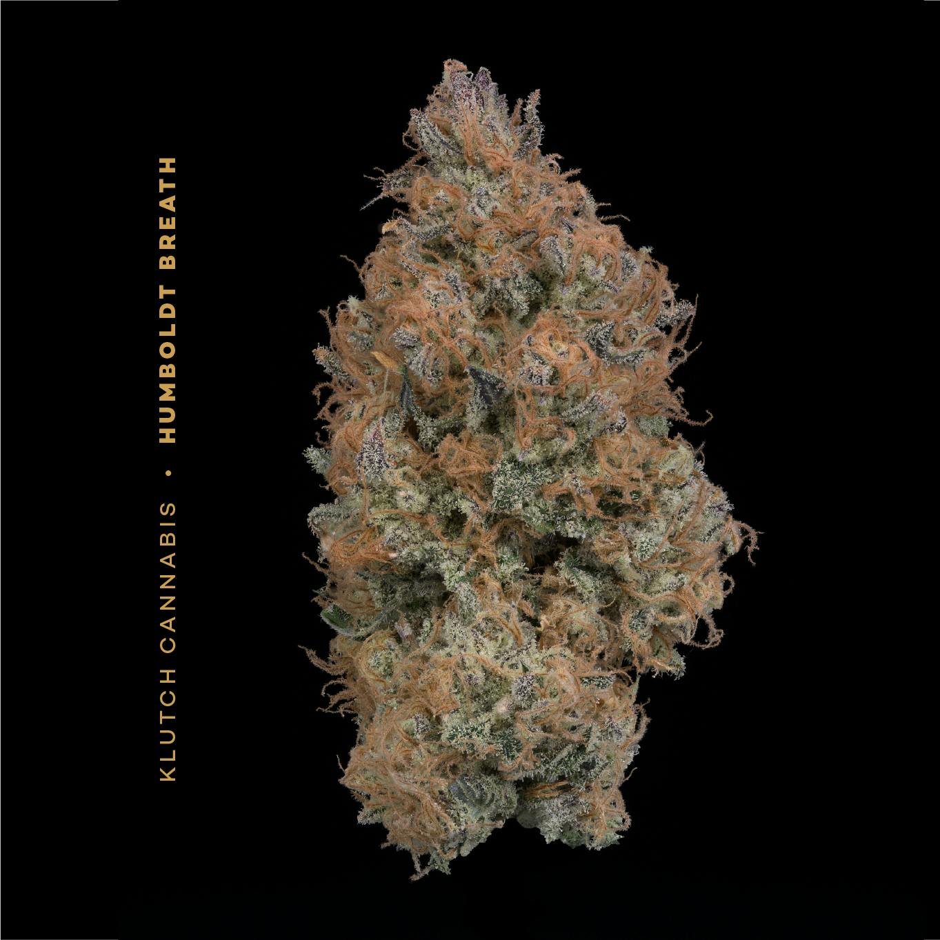 Klutch Cannabis - Humboldt Breath - Flower 2.83g - 1