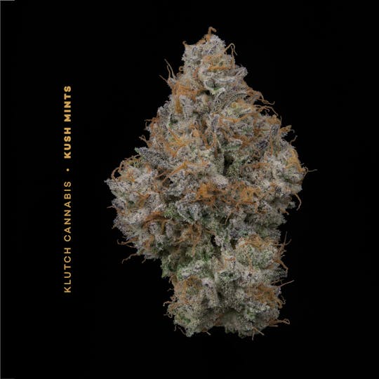 Klutch Cannabis - Kush Mints - Flower 14.15g - 1