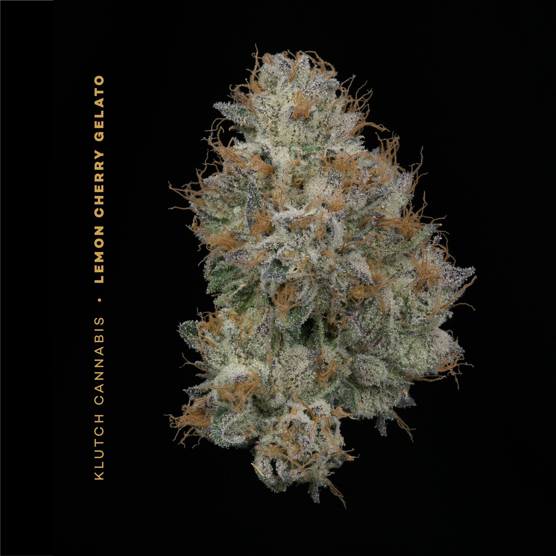 Klutch Cannabis - Lemon Cherry Gelato - Flower 2.83g - 1