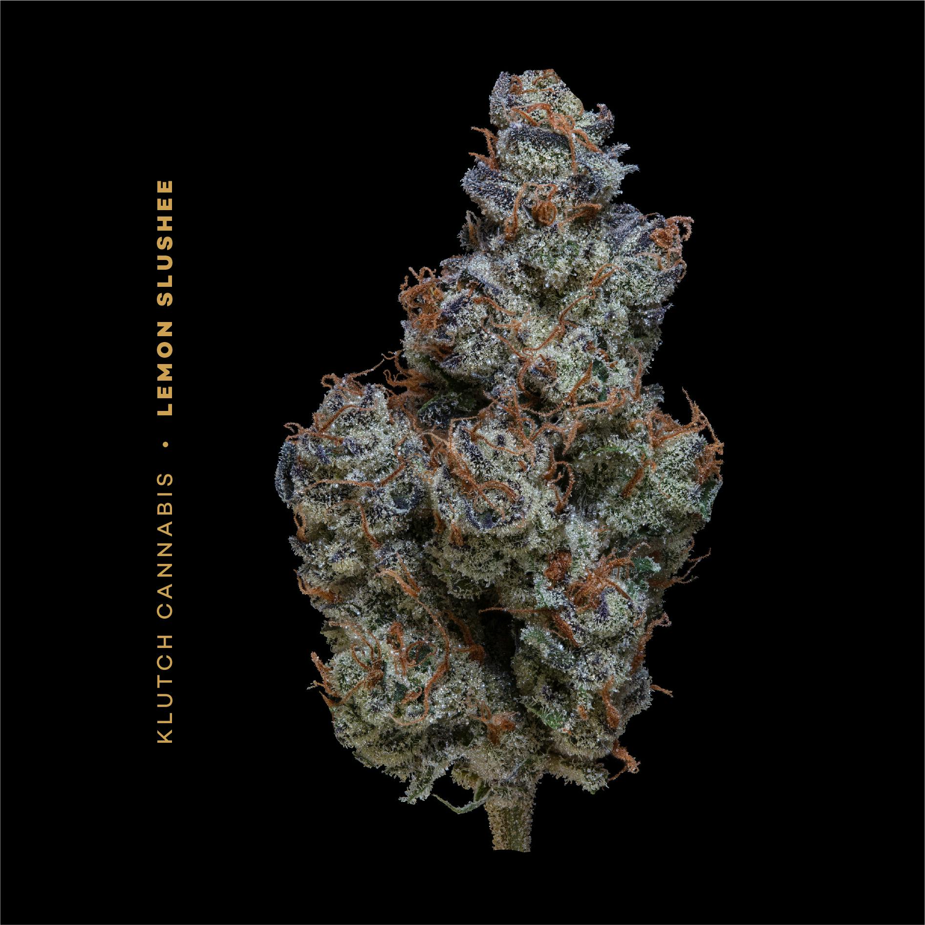 Klutch Cannabis - Lemon Slushee - Flower 5.66g - 1