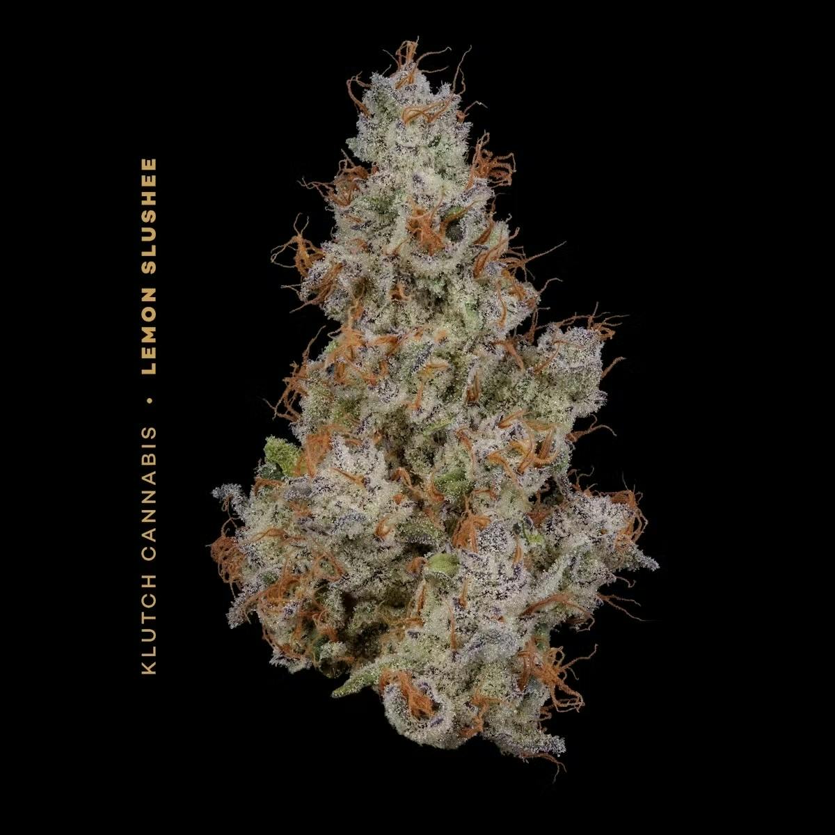 Klutch Cannabis - Lemon Slushee - Flower 14.15g - 1