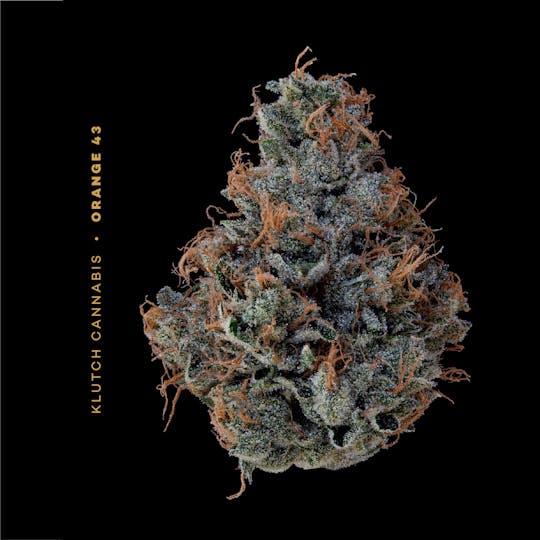 Klutch Cannabis - Orange 43 - Flower 2.83g - 1