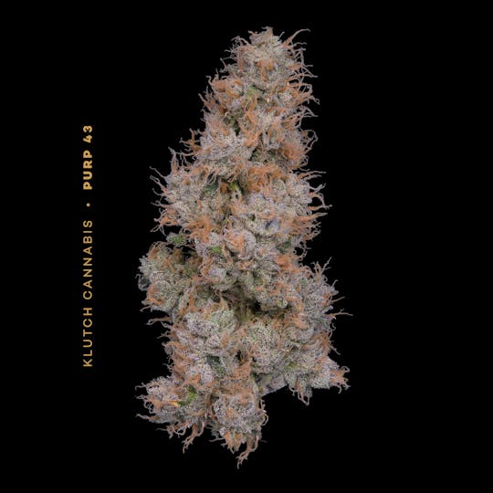 Klutch Cannabis - Purp 43 - Flower 2.83g - 1