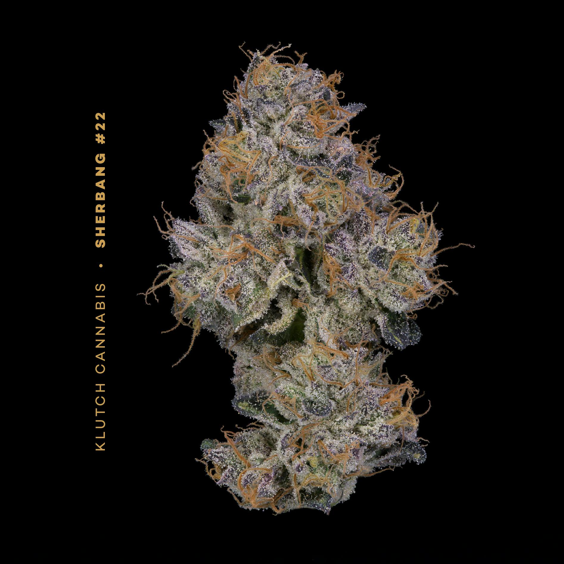 Klutch Cannabis - Sherbang #22 - Flower 5.66g - 1