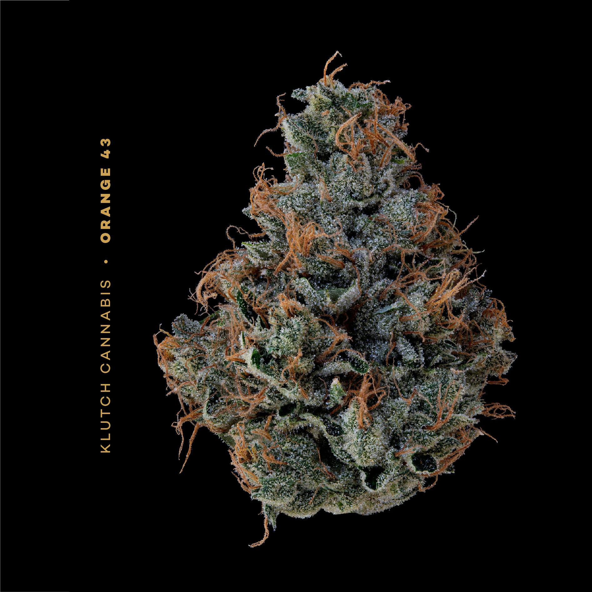 Klutch Cannabis - Orange 43 - Luster Pod 0.84g - 1