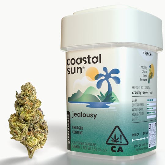 Coastal Sun - Jealousy Greenhouse Flower 3.5g - 1