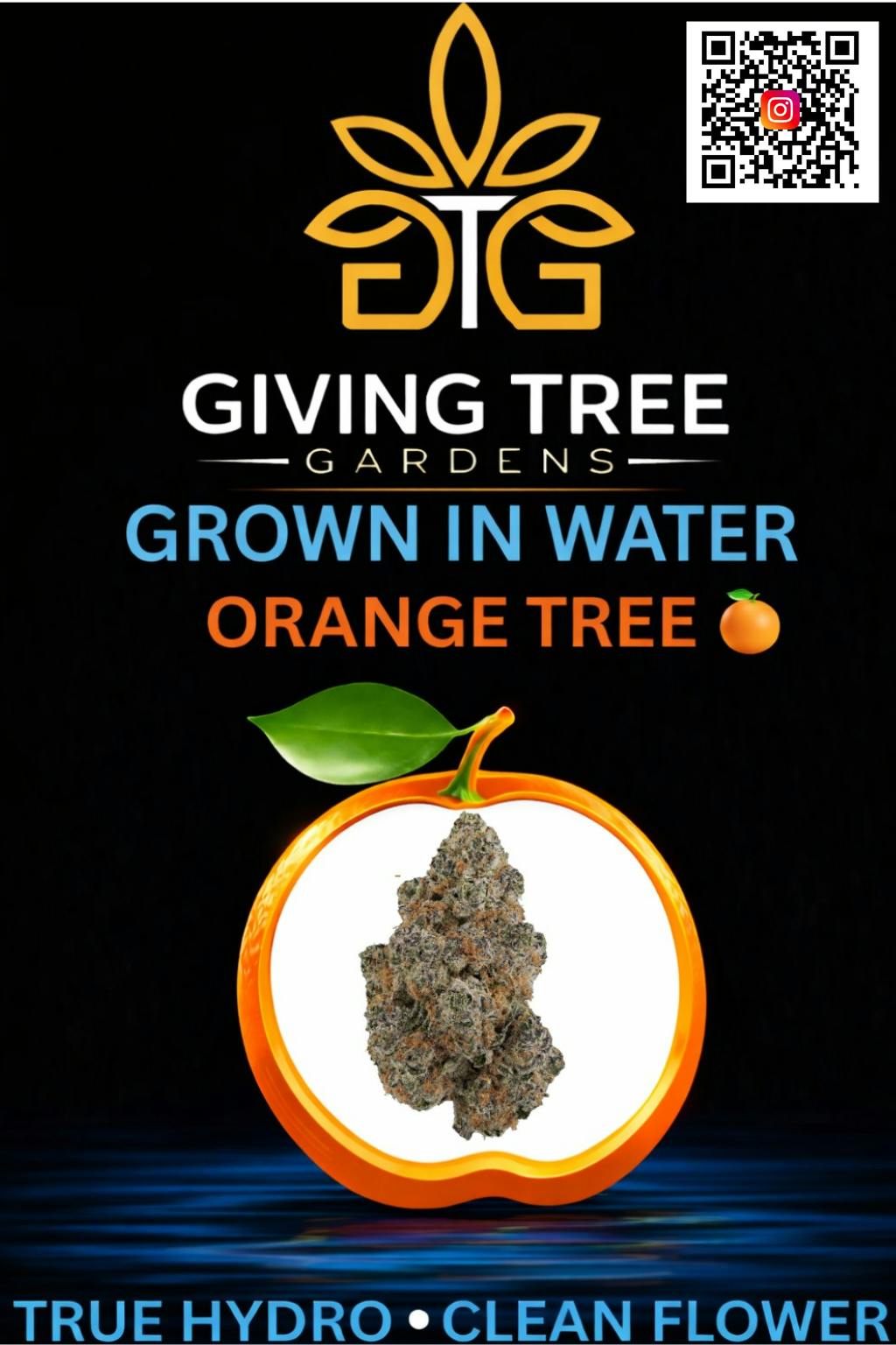 Giving Tree Gardens - Orange Tree - 14g Flower - 1