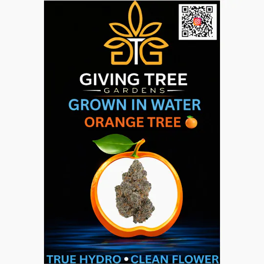 Giving Tree Gardens - Orange Tree - 14g Flower - 1