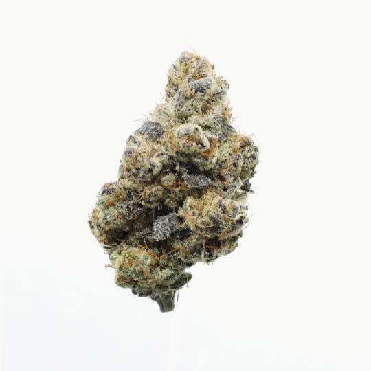 UpNorth - Golden Papaya - 3.5g - 1