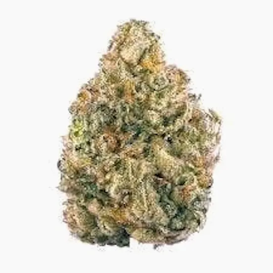 Cannafeen - Cannafeen | Doc OG | Big Buds - 1