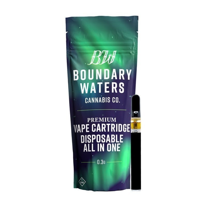 Boundary Waters - Juicy Red Apple | Disposable | 0.3g - 1