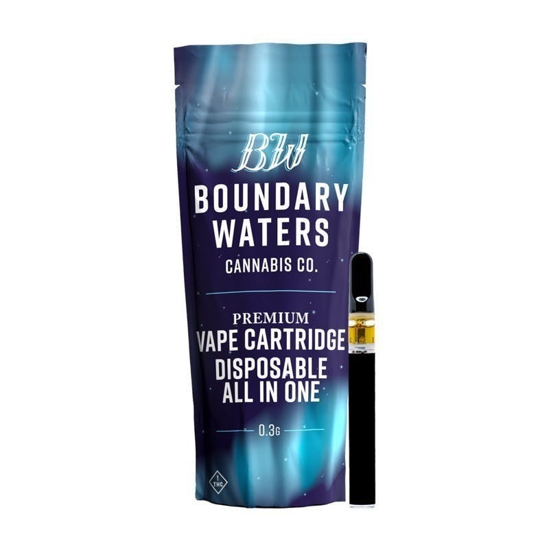 Boundary Waters - Mint Chip Ice Cream | Disposable | 0.3g - 1
