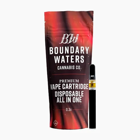 Boundary Waters - Electric Pink Lemonade | Disposable | 0.3g - 1