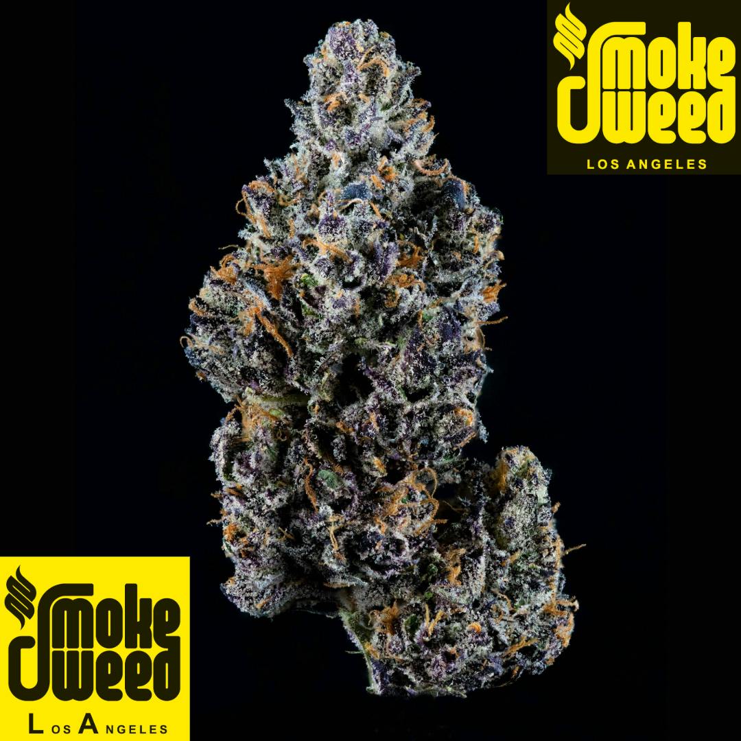 Smoke Weed LA - SWLA - Sherb Cream Pie 28g - 1