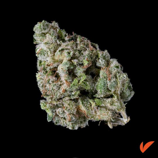 Vertical Cannabis - Exotic² Flower | 7G - 1