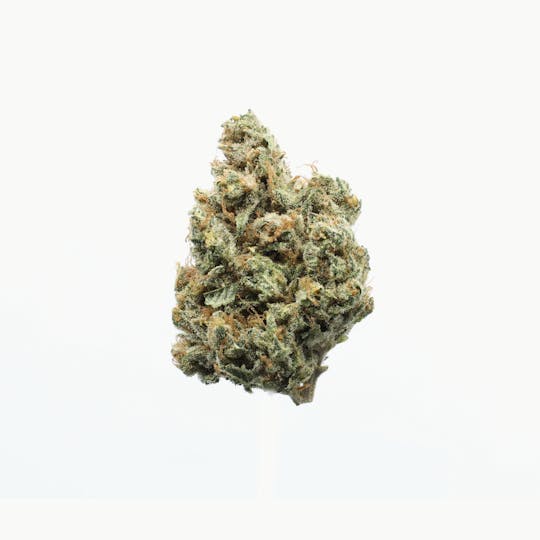 UpNorth - Pineapple Haze - 3.5g - 1