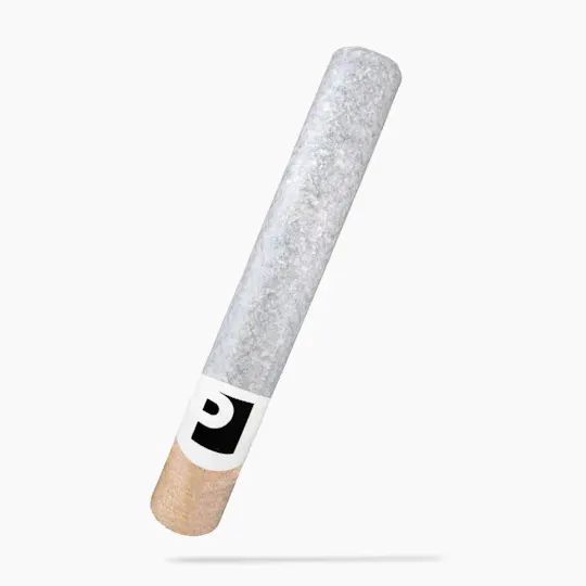 Preferred Gardens - Grape Cake | Joint | 2g - 1