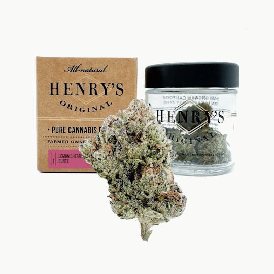 Henry's Original - 3.5g Craft Jar- Lemon Cherry Runtz - 1