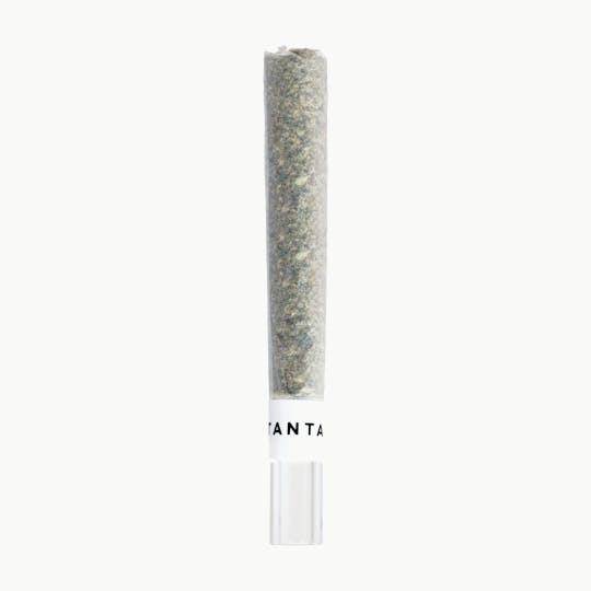 Tantalus - Animal Sundae - Glass Tip Pre Roll 1 x 1g - 1