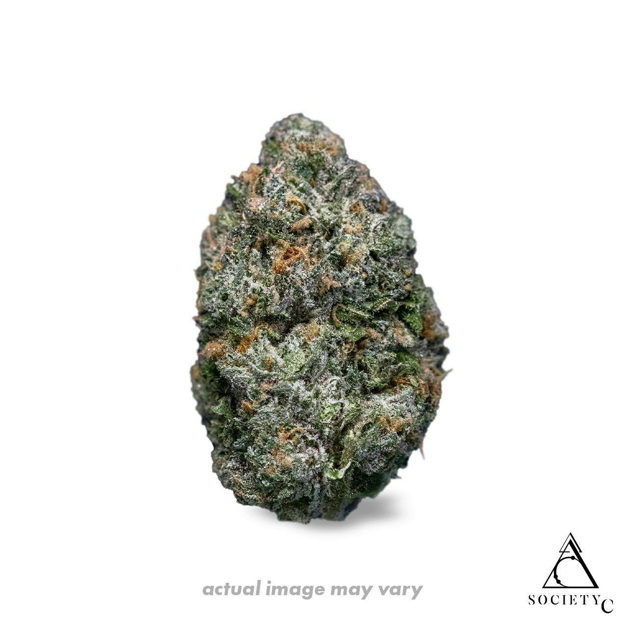 Society C - Society C | Highlighter | Big Buds | 3.5g - 1