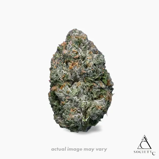 Society C - Society C | Highlighter | Big Buds | 3.5g - 1
