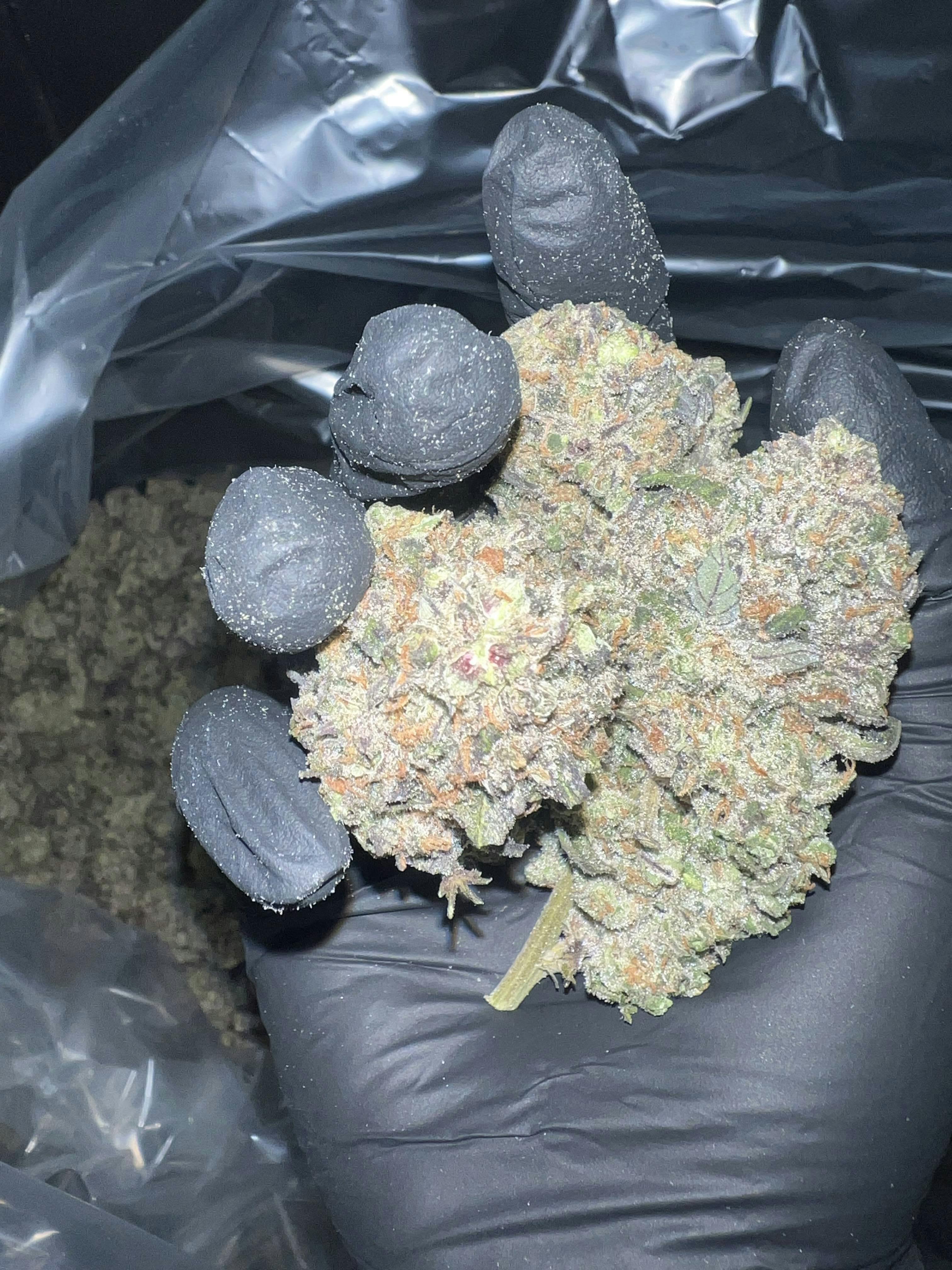 Calyxeum - Snow White Indoor Deli Style Flower - 1