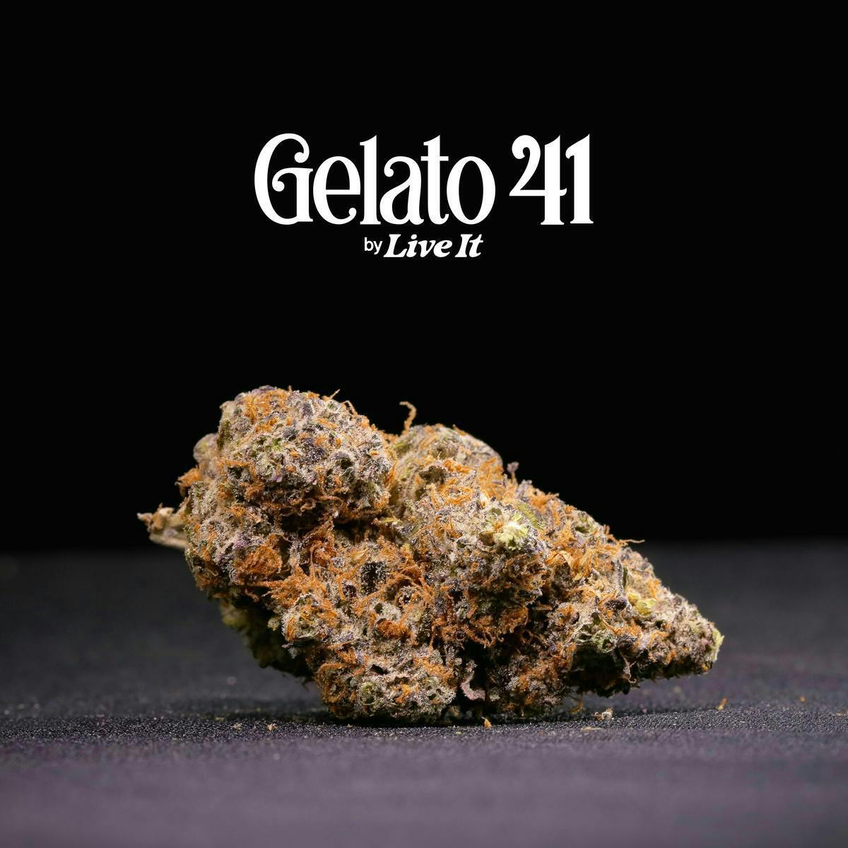 Live It - LIVE IT | GELATO 41 | BIG BUDS - 1