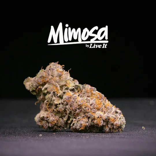 Live It - LIVE IT | MIMOSA | BIG BUDS - 1
