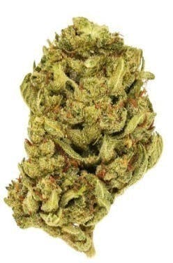 Smoakland - Smoakland Xclusivez | Grand Daddy Purple | Big Buds | 28g - 1
