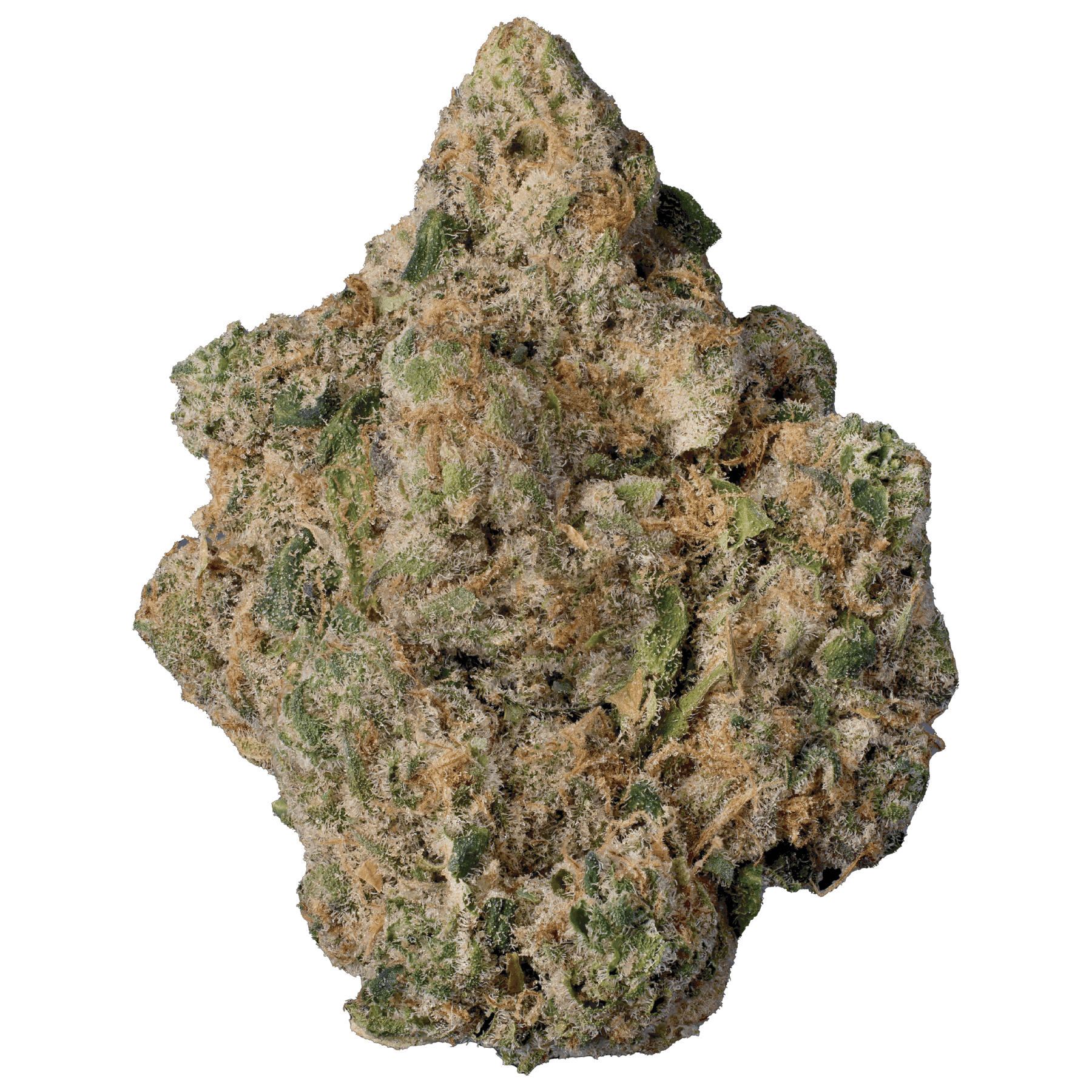 Modern Flower - Modern Flower | Lemon Cherry x Cap Junky | Big Buds - 1