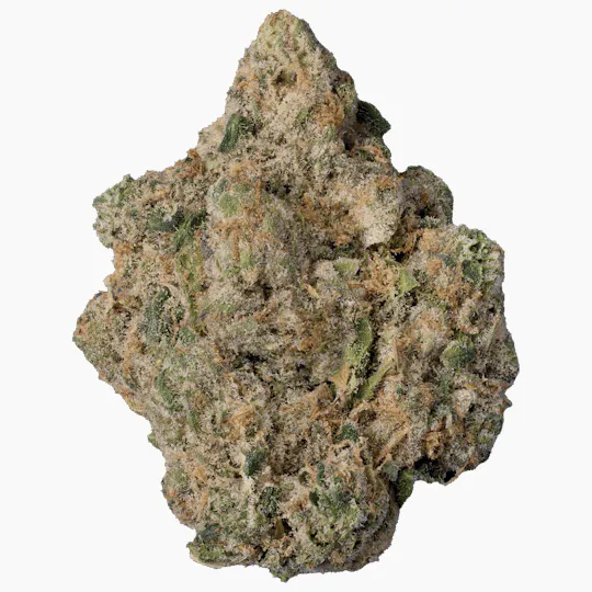 Modern Flower - Modern Flower | Lemon Cherry x Cap Junky | Big Buds - 1