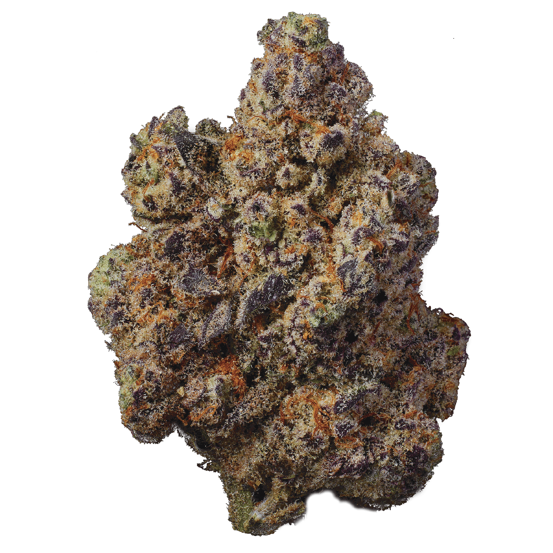 Modern Flower - Modern Flower | Pineapple Fruz | Big Buds - 1