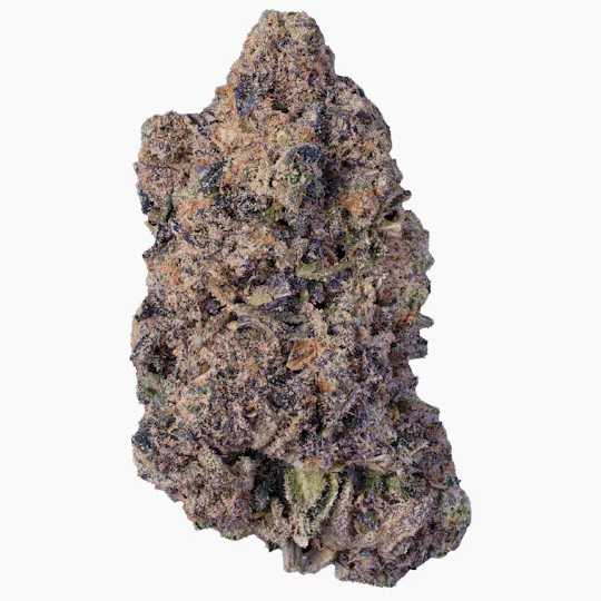 Modern Flower - Modern Flower | PPP | Big Buds - 1