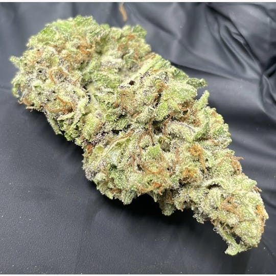 Hella Loud - Menage - 1