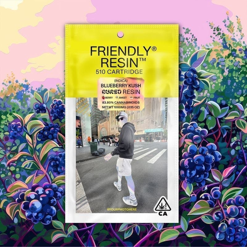 Friendly Brand - Friendly Brand | Blueberry Kush | Cured Resin Cartridge | 1g - 1