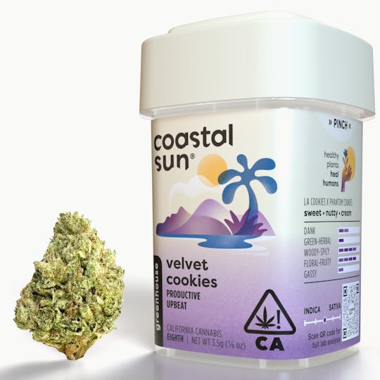 Coastal Sun - Velvet Cookies Greenhouse Flower 3.5g - 1