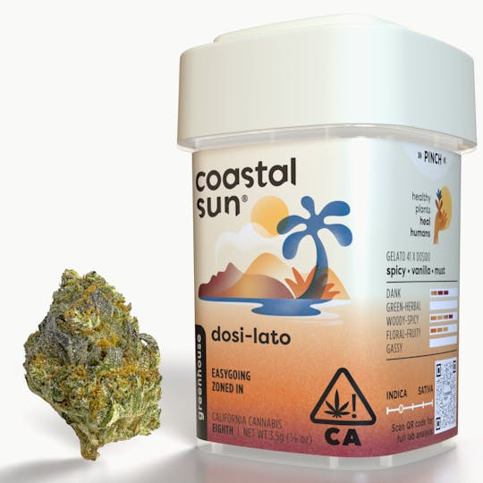 Coastal Sun - Dosi-Lato Greenhouse Flower 3.5g - 1