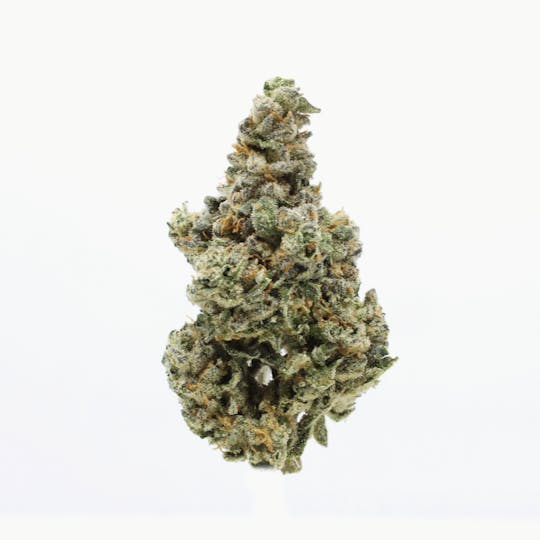 UpNorth - Pineapple Express - 3.5g - 1