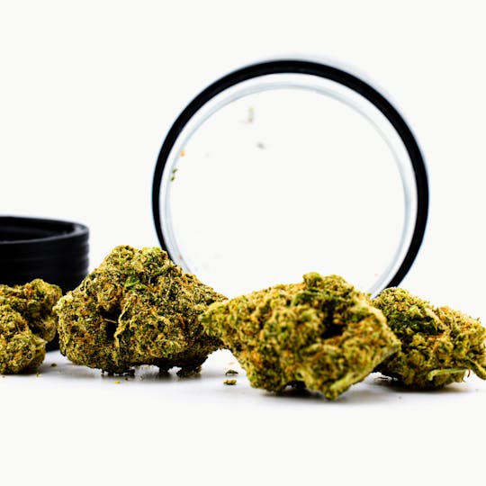 Dank By Definition - BLUE CHEESE - 1